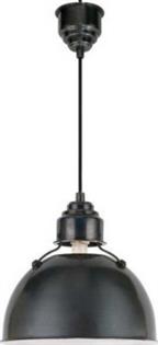Eugene Large Hanging Light in Bronze